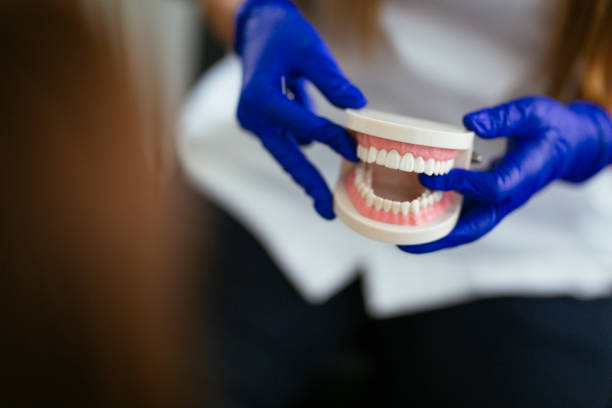  American Fork, UT Holistic Dental Services Pros